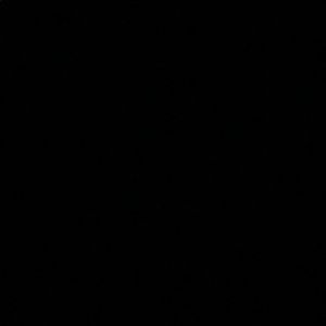 Meet your Posher, Carissa